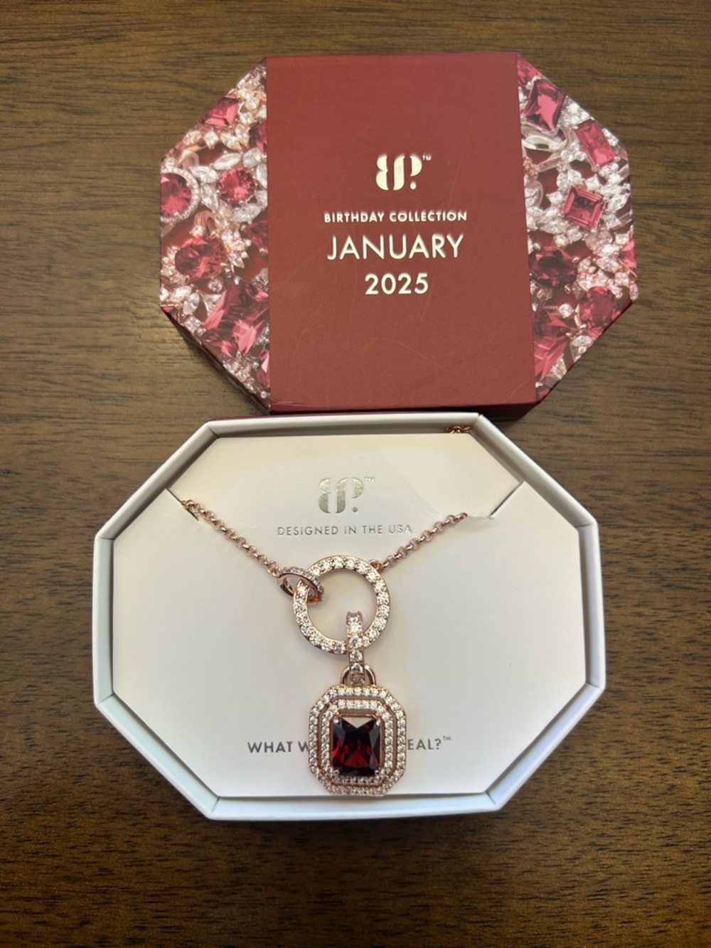 Bomb Party January 2025 Necklace RBP8618 It Was Always You Garnet on Rose Gold